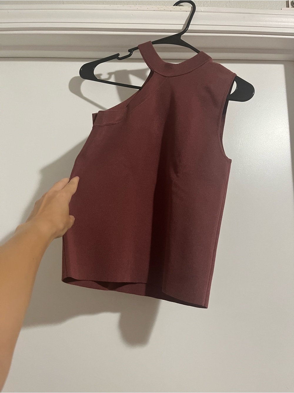 Zara Sleeveless Mock Neck Tank in Burgundy